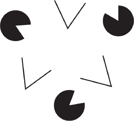 Иллюстрация к книге — Нет Эго, нет проблем. Что буддисты знали о мозге раньше всех ученых [i_007.jpg]