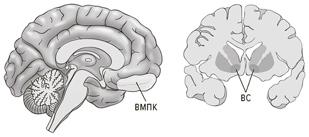 Иллюстрация к книге — Социальный вид [img_11.jpg]