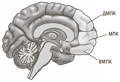 Иллюстрация к книге — Социальный вид [img_23.jpg]