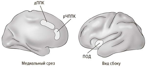 Иллюстрация к книге — Социальный вид [img_8.jpg]