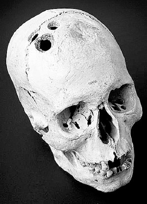 Иллюстрация к книге — Homo Viridae: человек как вирус [i_025.jpg]