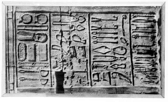 Иллюстрация к книге — Homo Viridae: человек как вирус [i_034.jpg]