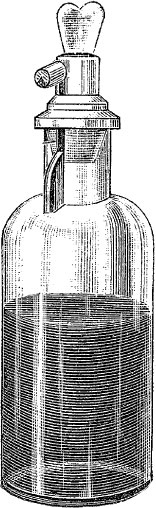 Иллюстрация к книге — Homo Viridae: человек как вирус [i_039.jpg]