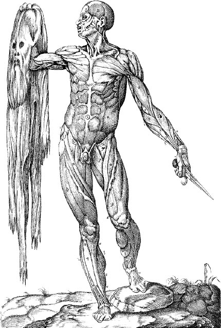 Иллюстрация к книге — Homo Viridae: человек как вирус [i_041.jpg]