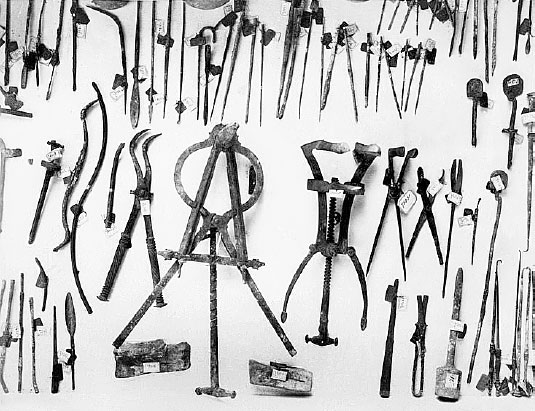 Иллюстрация к книге — Homo Viridae: человек как вирус [i_043.jpg]