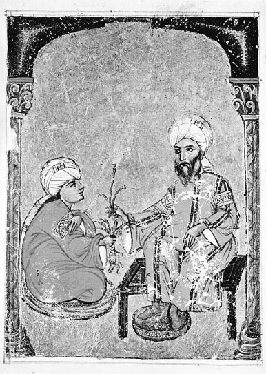 Иллюстрация к книге — Homo Viridae: человек как вирус [i_053.jpg]