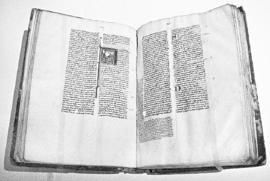 Иллюстрация к книге — Homo Viridae: человек как вирус [i_054.jpg]