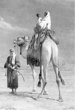 Иллюстрация к книге — Homo Viridae: человек как вирус [i_056.jpg]