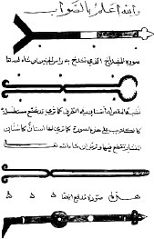 Иллюстрация к книге — Homo Viridae: человек как вирус [i_059.jpg]