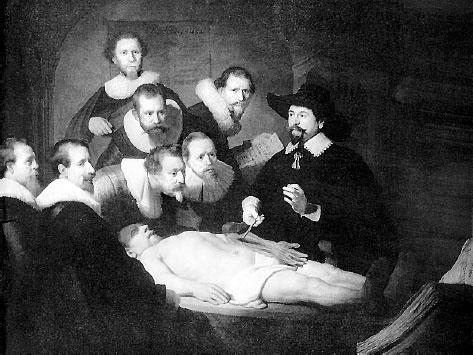 Иллюстрация к книге — Homo Viridae: человек как вирус [i_068.jpg]