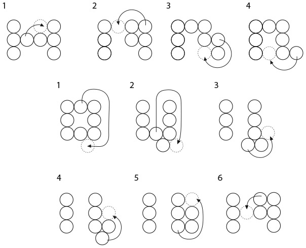Иллюстрация к книге — Капуста, неверные мужья и зебра. Загадки и головоломки для развития критического мышления [i_245.jpg]