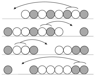 Иллюстрация к книге — Капуста, неверные мужья и зебра. Загадки и головоломки для развития критического мышления [i_252.jpg]