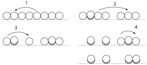 Иллюстрация к книге — Капуста, неверные мужья и зебра. Загадки и головоломки для развития критического мышления [i_254.jpg]