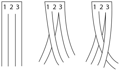 Иллюстрация к книге — Капуста, неверные мужья и зебра. Загадки и головоломки для развития критического мышления [i_265.jpg]