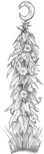 Иллюстрация к книге — Волшебство в вашем саду. Магические свойства растений и способы работы с ними [_19.jpg]