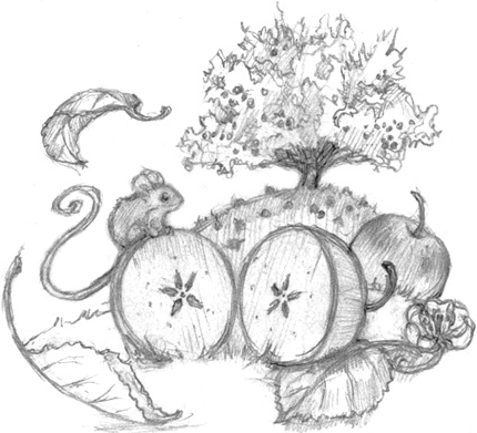 Иллюстрация к книге — Волшебство в вашем саду. Магические свойства растений и способы работы с ними [_29.jpg]