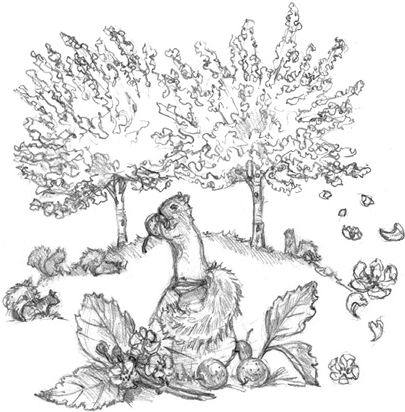 Иллюстрация к книге — Волшебство в вашем саду. Магические свойства растений и способы работы с ними [_36.jpg]