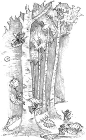 Иллюстрация к книге — Волшебство в вашем саду. Магические свойства растений и способы работы с ними [_37.jpg]