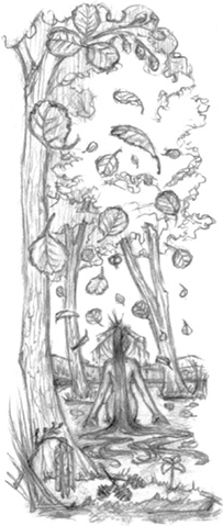 Иллюстрация к книге — Волшебство в вашем саду. Магические свойства растений и способы работы с ними [_40.jpg]