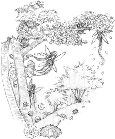 Иллюстрация к книге — Волшебство в вашем саду. Магические свойства растений и способы работы с ними [_42.jpg]