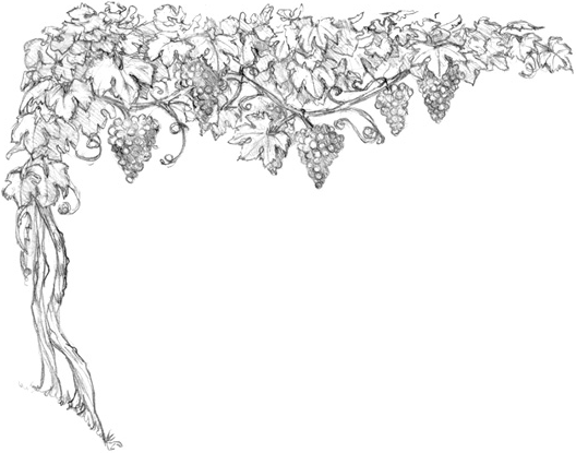 Иллюстрация к книге — Волшебство в вашем саду. Магические свойства растений и способы работы с ними [_46.jpg]