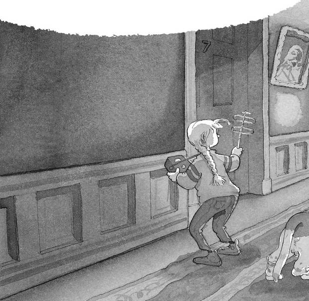 Иллюстрация к книге — Призрак старого замка [i_015.jpg]