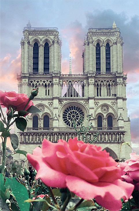 Иллюстрация к книге — Франция изнутри. Как на самом деле живут в стране изысканной кухни и высокой моды? [i_001.jpg]