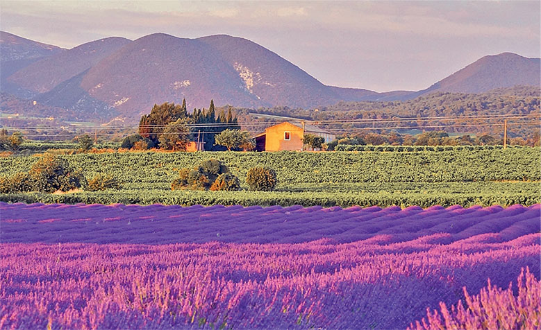 Иллюстрация к книге — Франция изнутри. Как на самом деле живут в стране изысканной кухни и высокой моды? [i_008.jpg]