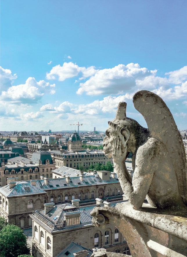 Иллюстрация к книге — Франция изнутри. Как на самом деле живут в стране изысканной кухни и высокой моды? [i_014.jpg]