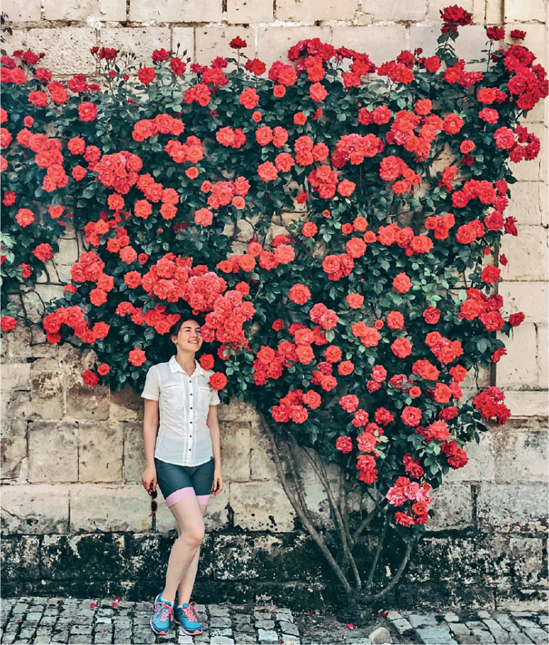 Иллюстрация к книге — Франция изнутри. Как на самом деле живут в стране изысканной кухни и высокой моды? [i_023.jpg]