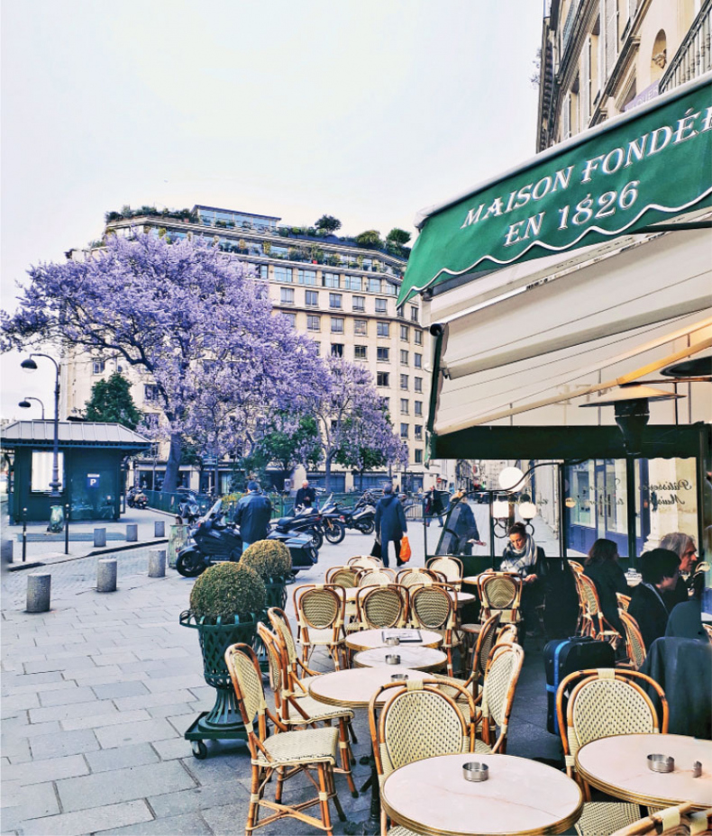 Иллюстрация к книге — Франция изнутри. Как на самом деле живут в стране изысканной кухни и высокой моды? [i_030.jpg]