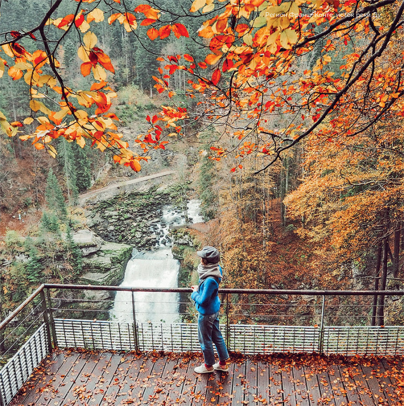 Иллюстрация к книге — Франция изнутри. Как на самом деле живут в стране изысканной кухни и высокой моды? [i_051.jpg]