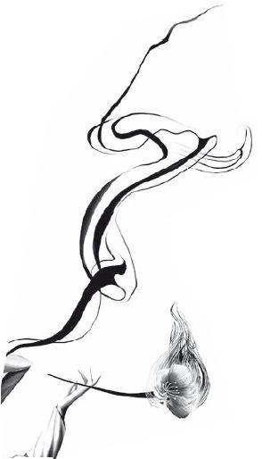 Иллюстрация к книге — Герой: эволюция, или Как мы стали теми, кто мы есть [i_004.jpg]