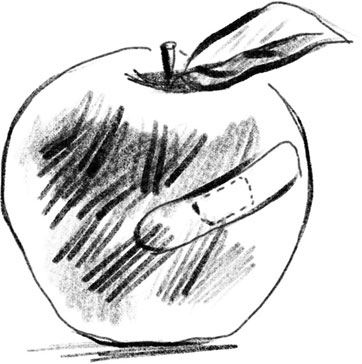 Иллюстрация к книге — ПроЖИВАЯ. Как оставаться счастливым, проживая самые сложные моменты жизни [i_006.jpg]