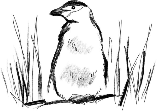 Иллюстрация к книге — ПроЖИВАЯ. Как оставаться счастливым, проживая самые сложные моменты жизни [i_029.jpg]