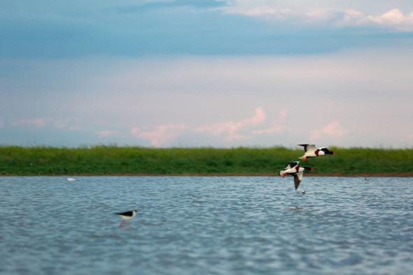 Иллюстрация к книге — И нас качают те же волны [_0.jpg]