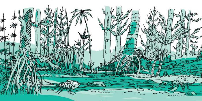 Иллюстрация к книге — 290 миллионов лет назад и далее [i_004.jpg]