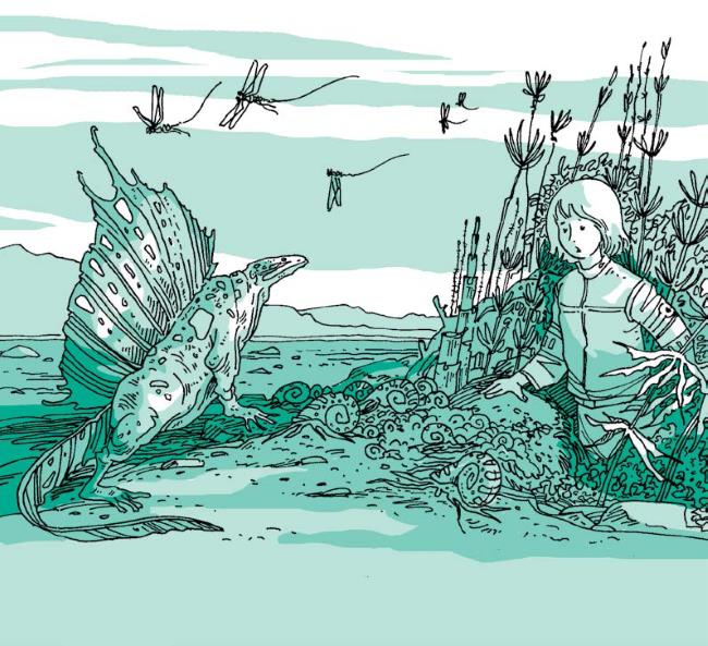 Иллюстрация к книге — 290 миллионов лет назад и далее [i_017.jpg]