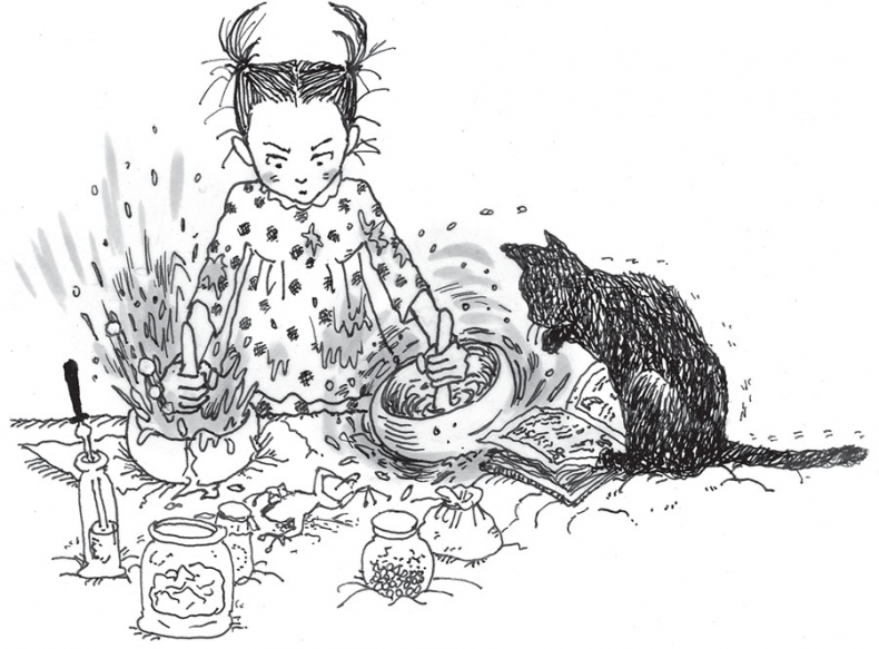 Иллюстрация к книге — Ая и ведьма [i_040.jpg]