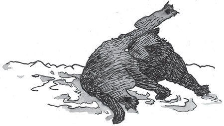 Иллюстрация к книге — Ая и ведьма [i_044.jpg]