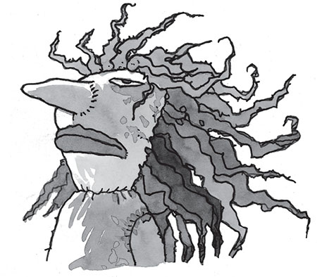 Иллюстрация к книге — Ая и ведьма [i_053.jpg]