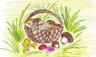 Иллюстрация к книге — Лето на полке [_10.jpg]