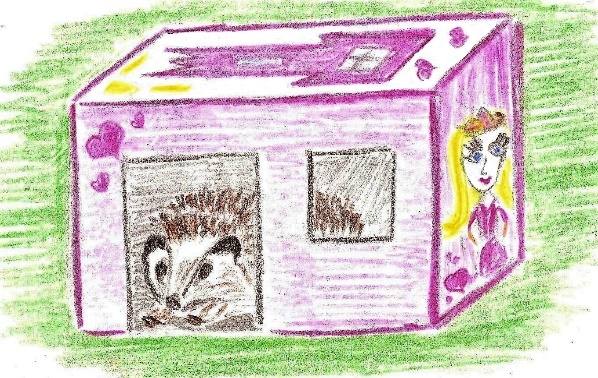 Иллюстрация к книге — Лето на полке [_18.jpg]