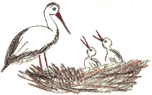 Иллюстрация к книге — Лето на полке [_2.jpg]