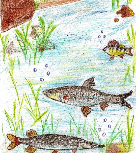 Иллюстрация к книге — Лето на полке [_39.jpg]