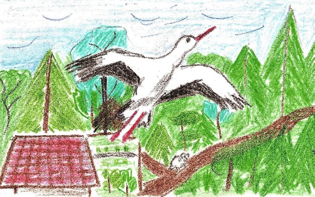 Иллюстрация к книге — Лето на полке [_5.jpg]