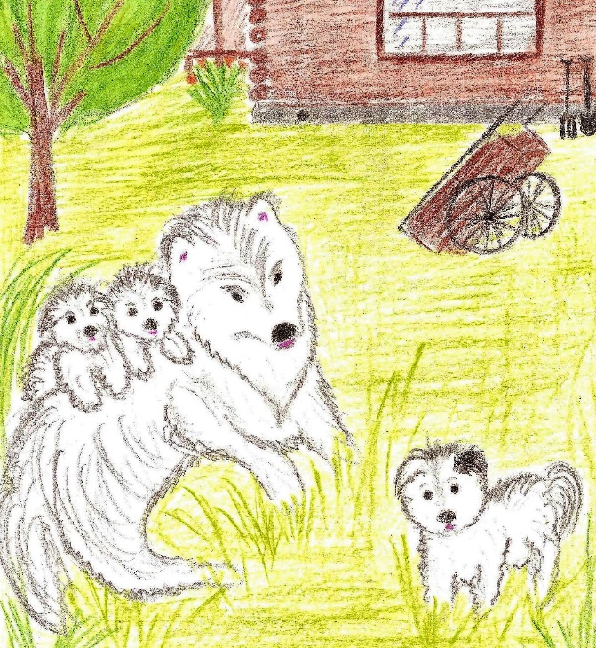 Иллюстрация к книге — Лето на полке [_72.jpg]