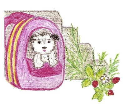 Иллюстрация к книге — Лето на полке [_73.jpg]