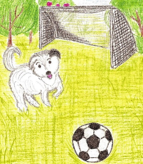 Иллюстрация к книге — Лето на полке [_76.jpg]