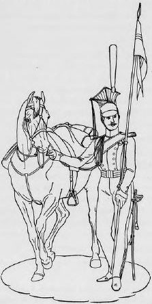 Иллюстрация к книге — Русская армия 1812 года. Устройство и боевые действия [i_096.jpg]